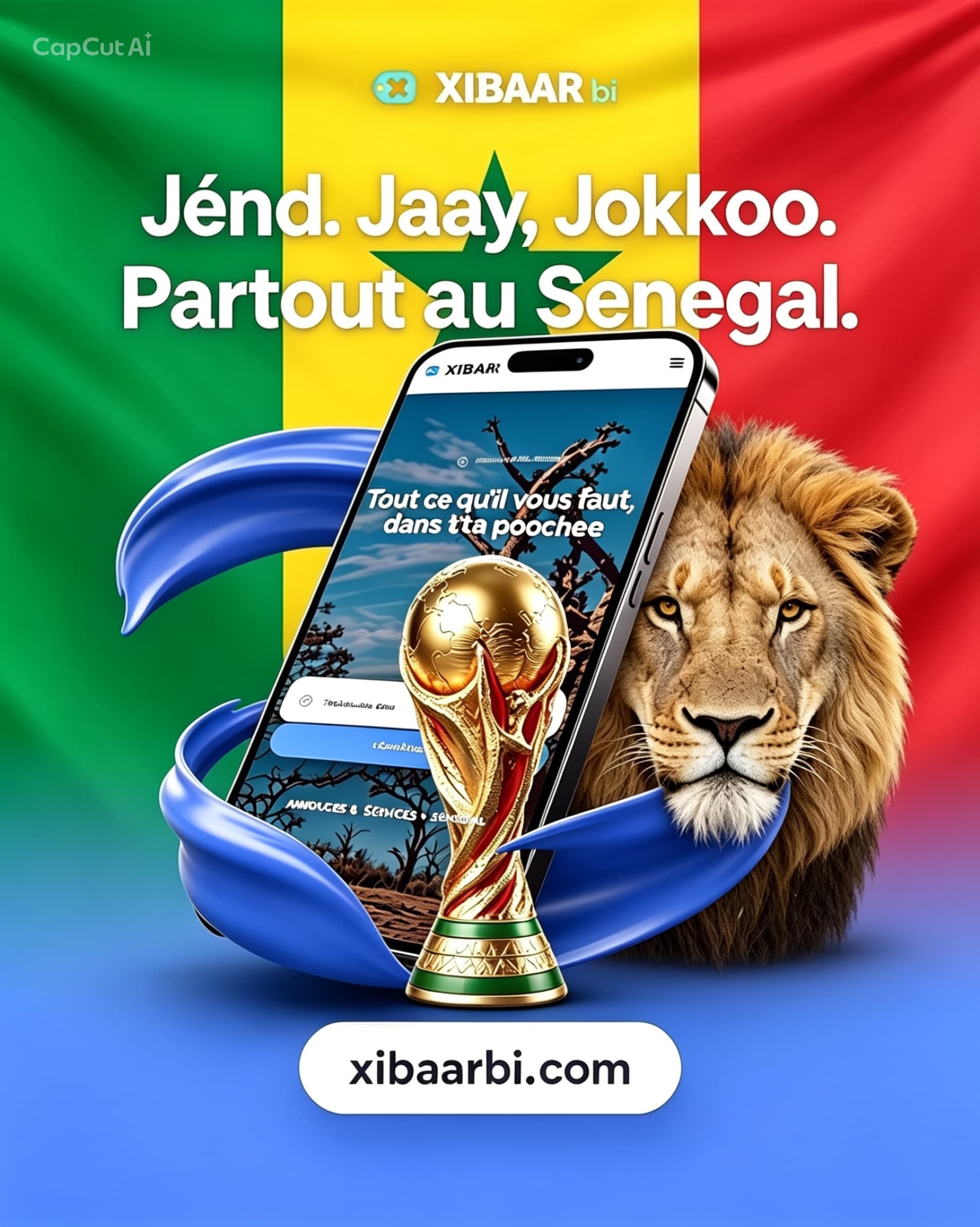 Allez les LIONS